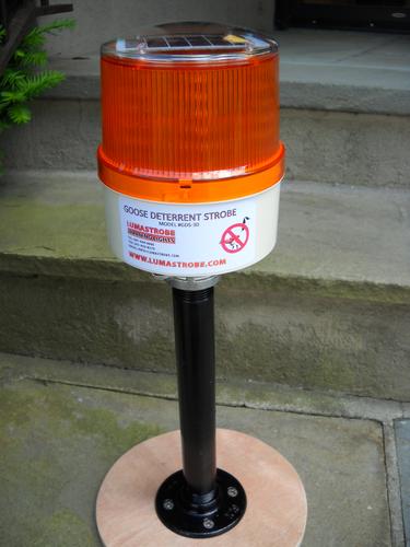 GDS-30 Goose Deterrent Strobe