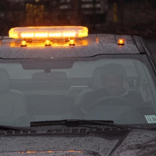 King Cobra Light Bar